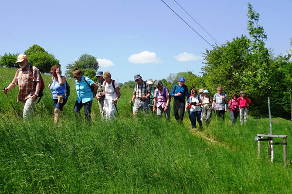 JÖS2610