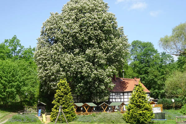 JÖS2612