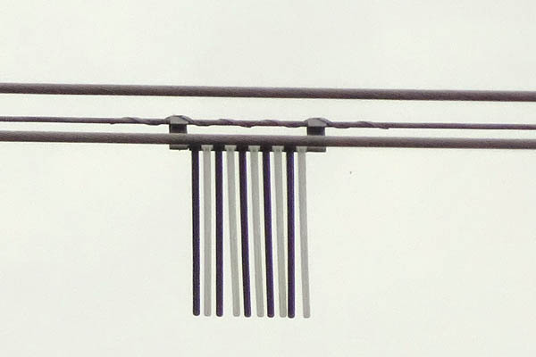 KAN2618