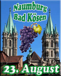 NBG25IC
