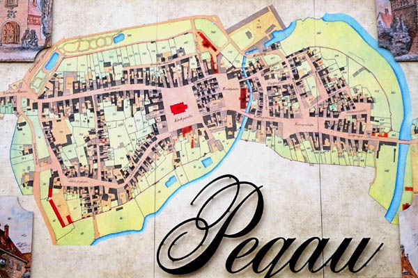 PEG2505