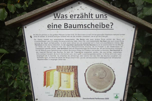 PÖN2505