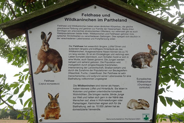 PÖN2506