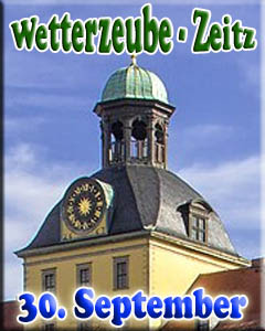 WZE25IC