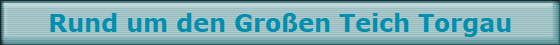 Rund um den Großen Teich Torgau