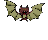 animiertes-fledermaus-bild-0031