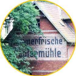 ZEI2019