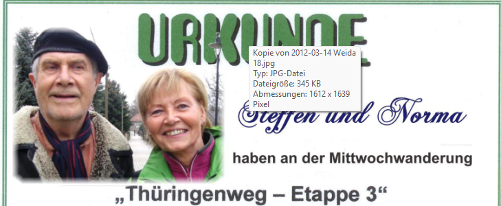 Weida - Gera 2012