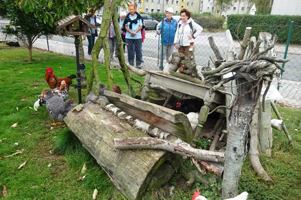 ZTU2608